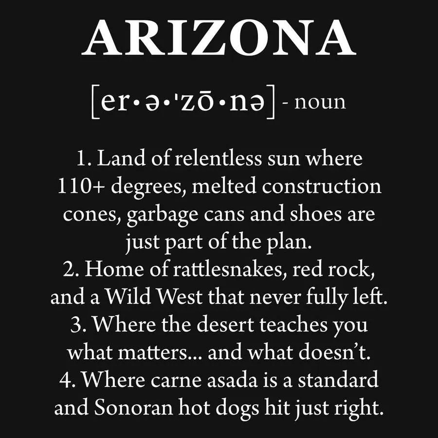 Arizona Defined Hoodie - Black sold by Grunt Style product image thumbnail 4