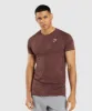 Gymshark Geo Seamless T-Shirt - Cherry Brown/Black sold by Gymshark
