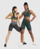 Gymshark Apex Seamless Sports Bra - Obsidian Green/Cucumber Green sold by Gymshark
