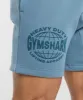 Gymshark Heavy Duty Apparel 7" Shorts - Faded Blue sold by Gymshark