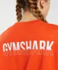 Gymshark Fraction Oversized T-Shirt - Pepper Red sold by Gymshark