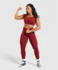 Gymshark Adapt Fleck Seamless Crop Top - Reps Red/Conditioning Red sold by Gymshark