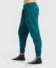 Gymshark Power Joggers - Teal Print sold by Gymshark