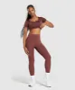 Gymshark Stitch Feature Crop Top - Burgundy Brown sold by Gymshark