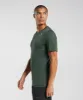 Gymshark Sport Seamless T-Shirt - Fog Green/Black sold by Gymshark