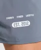 Gymshark Fitness Graphic Shorts - Iron Blue sold by Gymshark