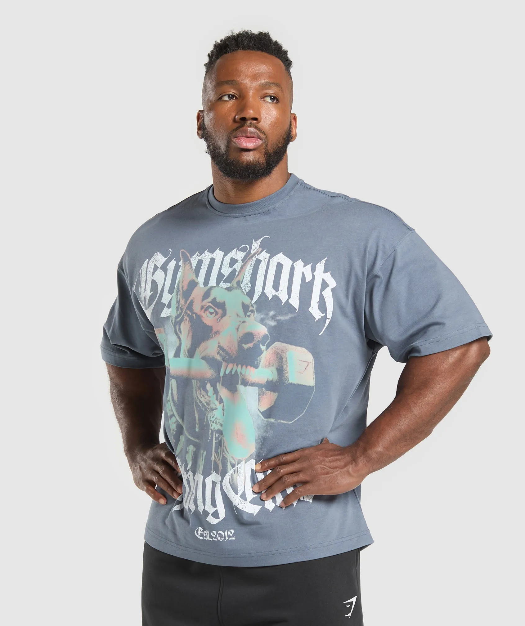 Gymshark Doberman Graphic T-Shirt - Iron Blue sold by Gymshark product image thumbnail 5