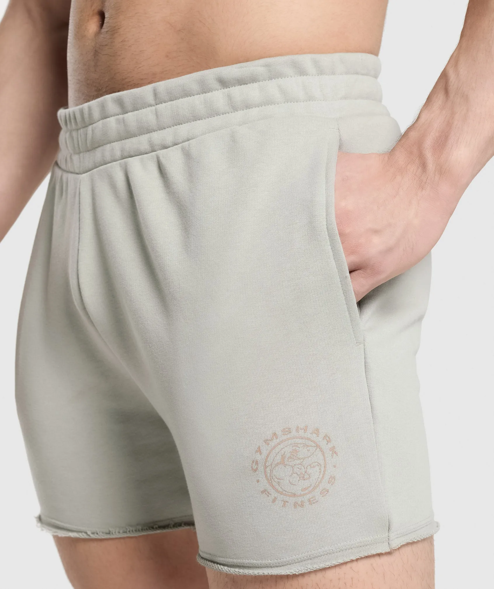 Gymshark Legacy Shorts - Stone Grey sold by Gymshark product image thumbnail 5