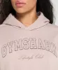 Gymshark Collegiate Hoodie - Muted Pink sold by Gymshark