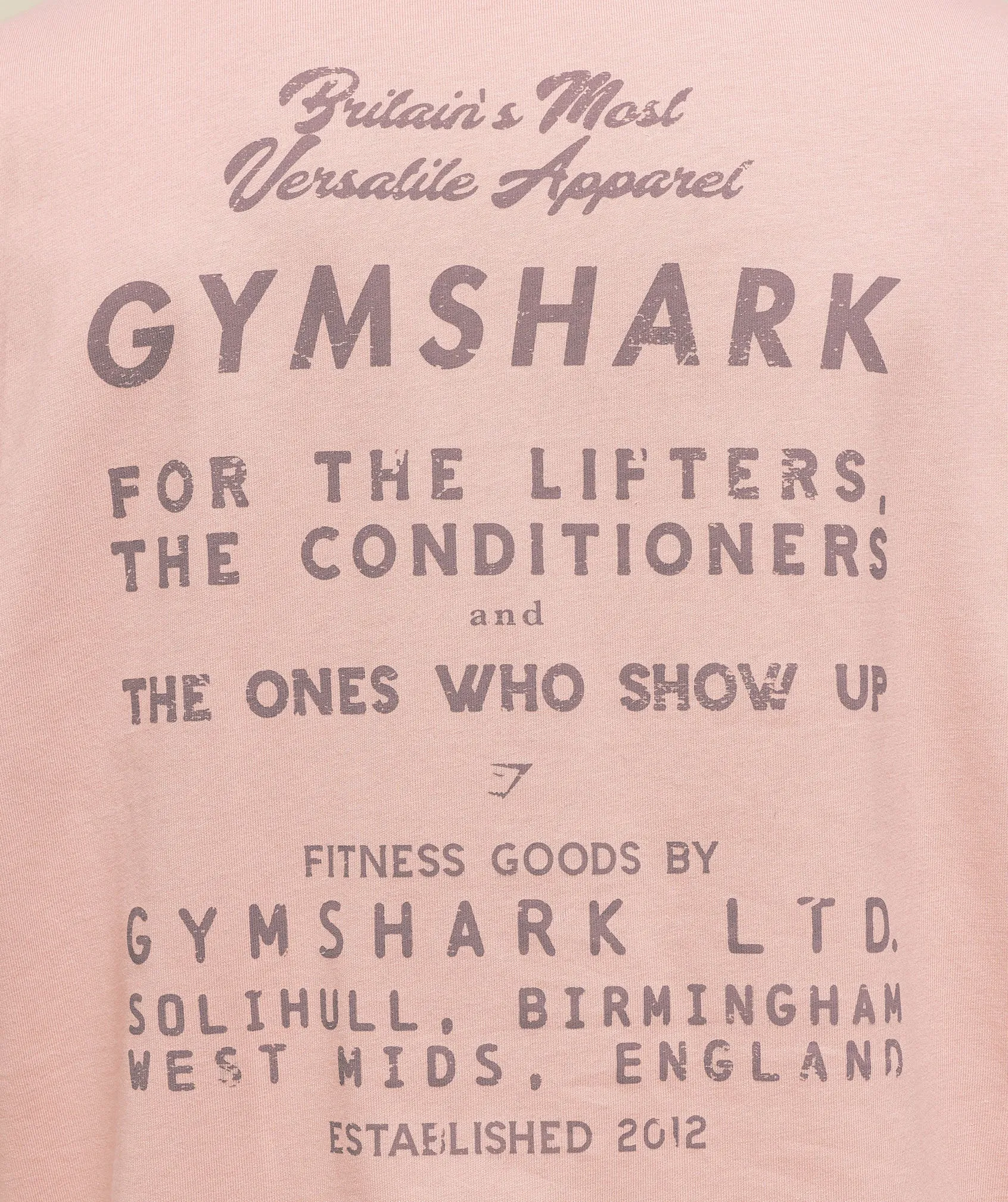 Gymshark For The Lifters Boxy T-Shirt - Rest Pink sold by Gymshark product image thumbnail 4