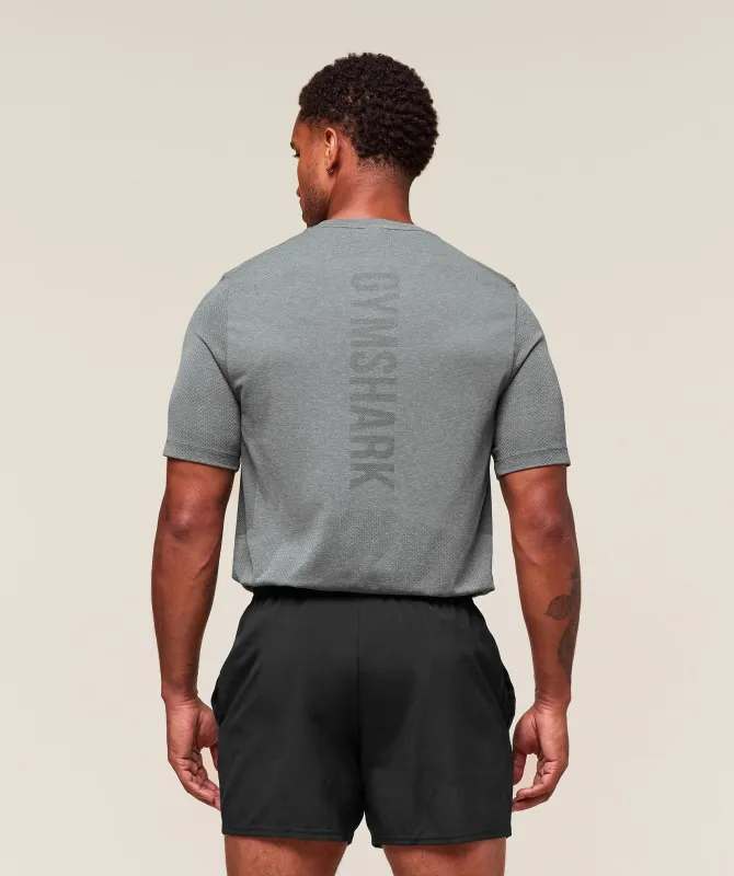 Gymshark Lightweight Seamless T-Shirt - Light Grey/Smokey Grey sold by Gymshark