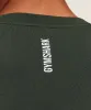 Gymshark Shadow Seamless Long Sleeve T-Shirt - Trail Green sold by Gymshark