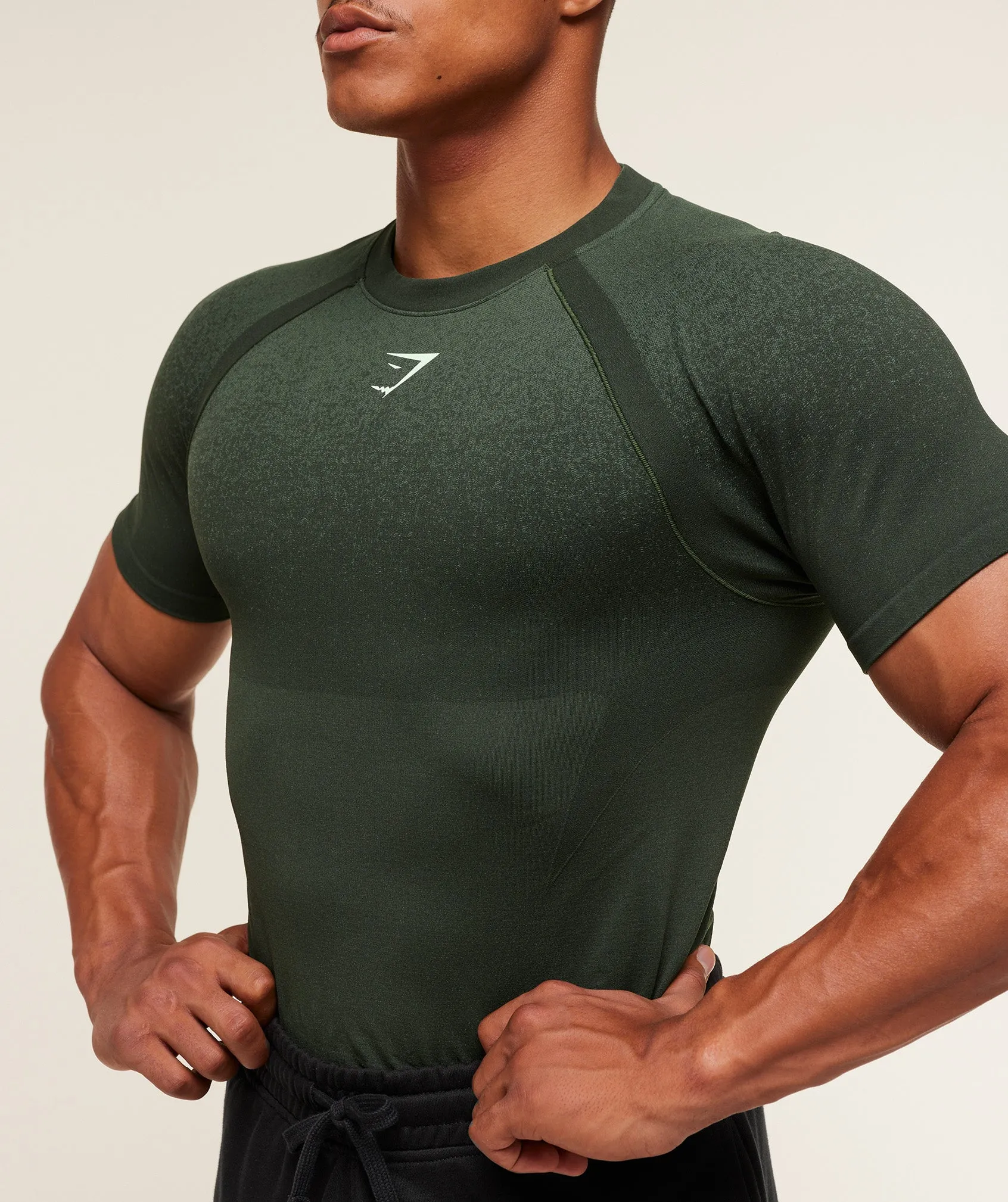 Gymshark Shadow Seamless T Shirt - Trail Green sold by Gymshark product image thumbnail 5