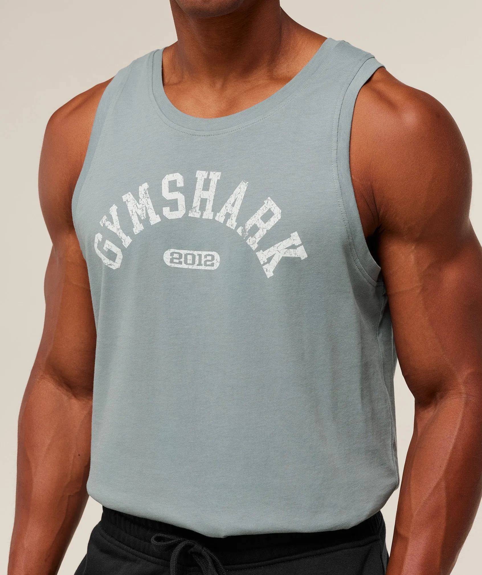 Gymshark 2012 Strength Tank - Denim Grey sold by Gymshark product image thumbnail 5
