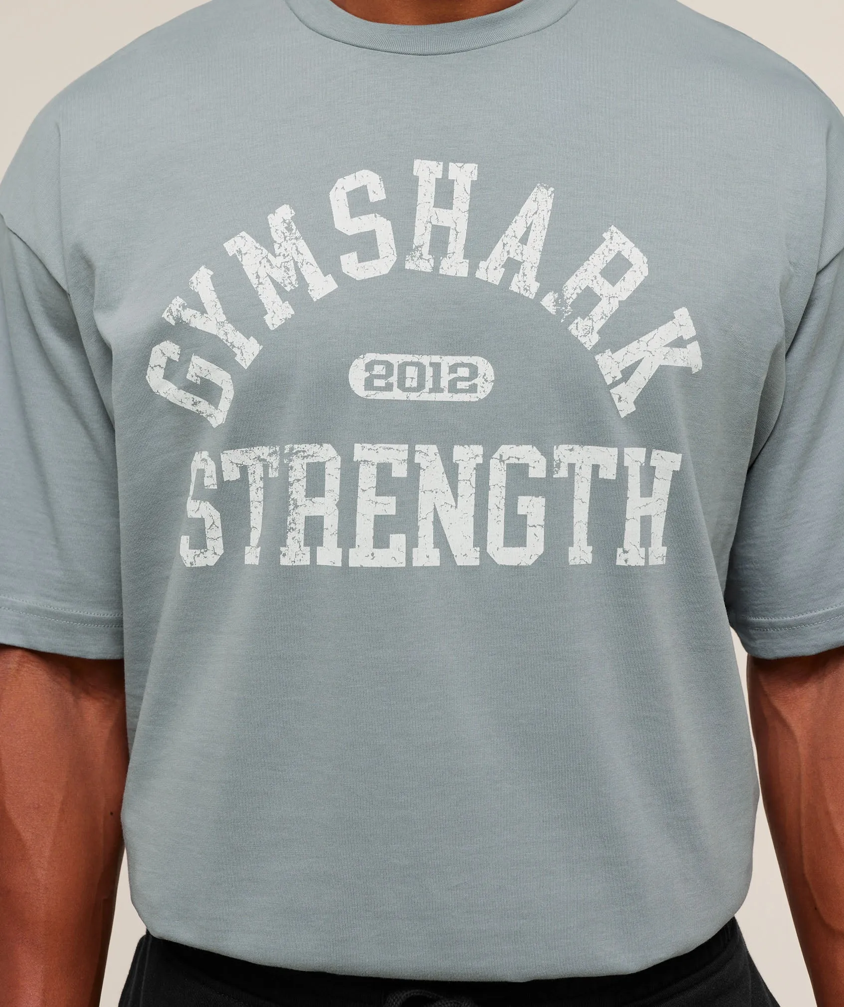 Gymshark 2012 Strength T-Shirt - Denim Grey sold by Gymshark product image thumbnail 4