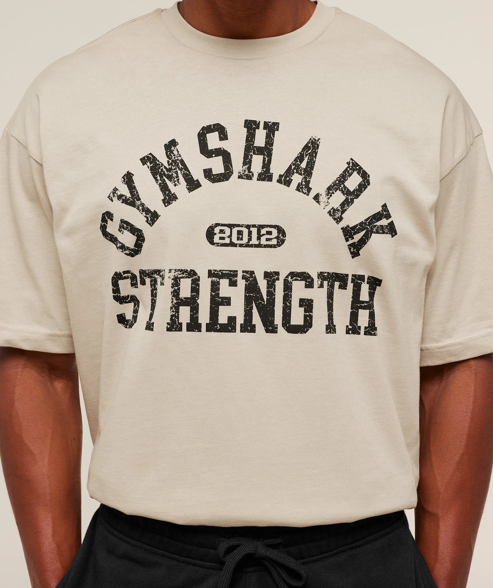 Gymshark 2012 Strength T-Shirt - Pebble Grey sold by Gymshark product image thumbnail 4