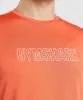 Gymshark Arrival Graphic T-Shirt - Papaya Orange sold by Gymshark