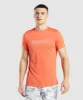 Gymshark Arrival Graphic T-Shirt - Papaya Orange sold by Gymshark