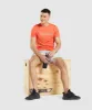 Gymshark Arrival Graphic T-Shirt - Papaya Orange sold by Gymshark