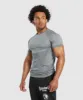Gymshark Elite Seamless T-Shirt - Pitch Grey/Light Grey sold by Gymshark