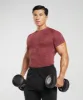 Gymshark Geo Seamless T-Shirt - Soft Berry/Rich Maroon sold by Gymshark