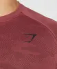 Gymshark Geo Seamless T-Shirt - Soft Berry/Rich Maroon sold by Gymshark