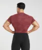Gymshark Geo Seamless T-Shirt - Soft Berry/Rich Maroon sold by Gymshark