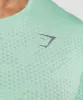 Gymshark Sport Seamless T-Shirt - Pastel Green/Willow Green sold by Gymshark