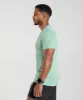 Gymshark Sport Seamless T-Shirt - Pastel Green/Willow Green sold by Gymshark