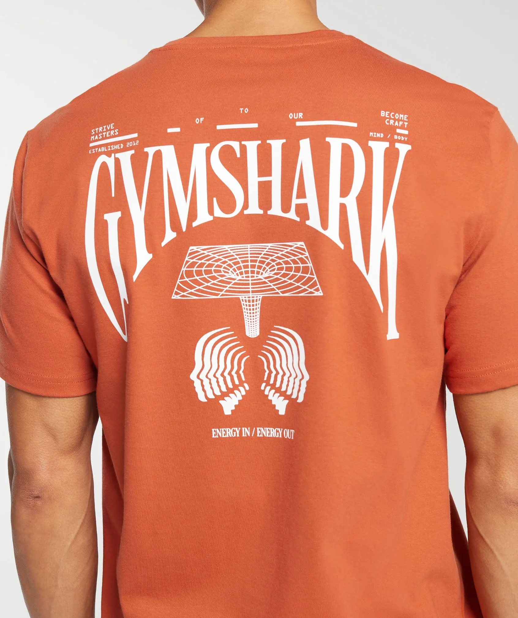 Gymshark Hybrid Wellness T-Shirt - Rust Orange sold by Gymshark product image thumbnail 5