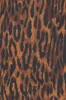 Emilia Dress In Leopard Scuba sold by H by Halston