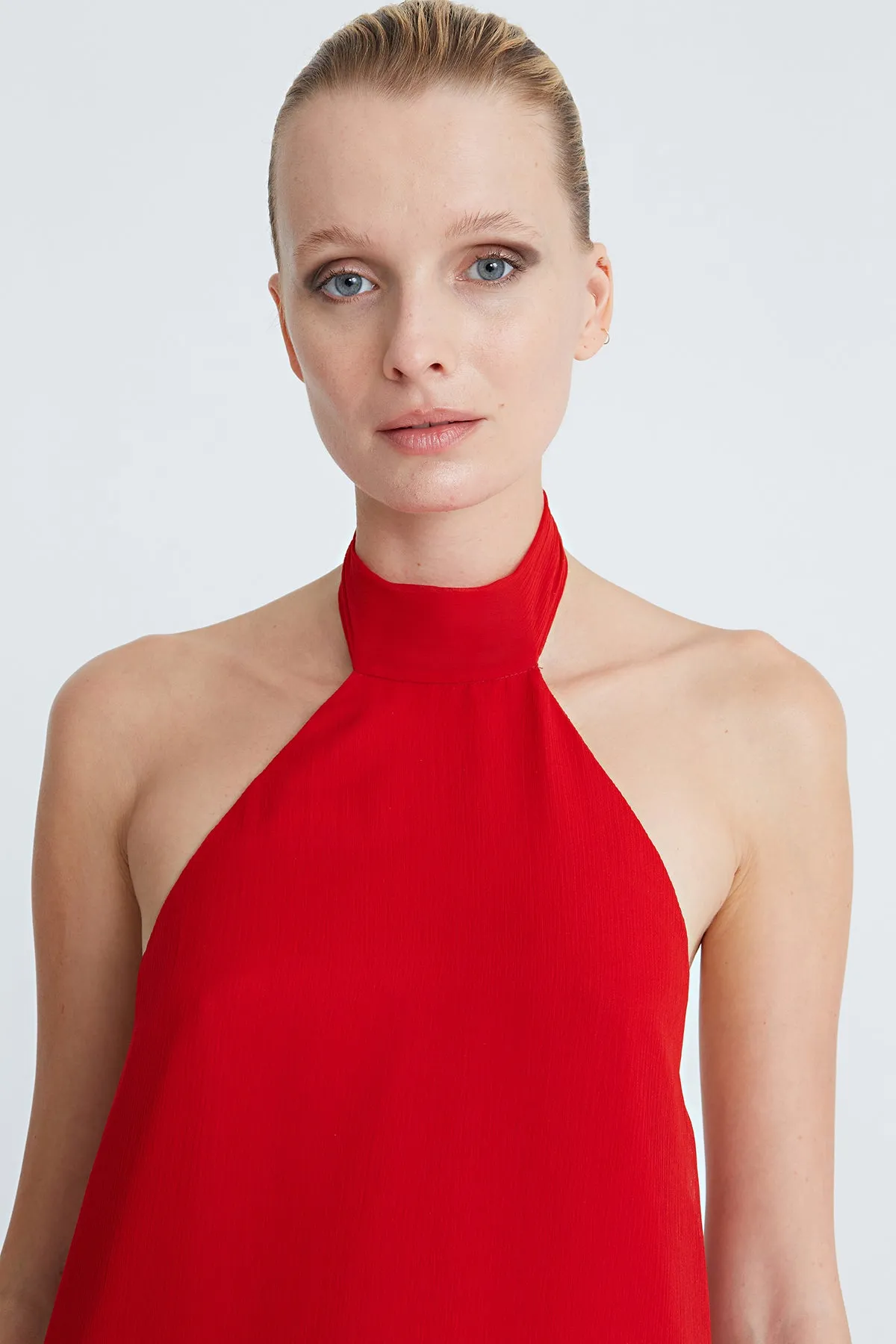 Lizza Chiffon Halter Gown sold by H by Halston product image thumbnail 5