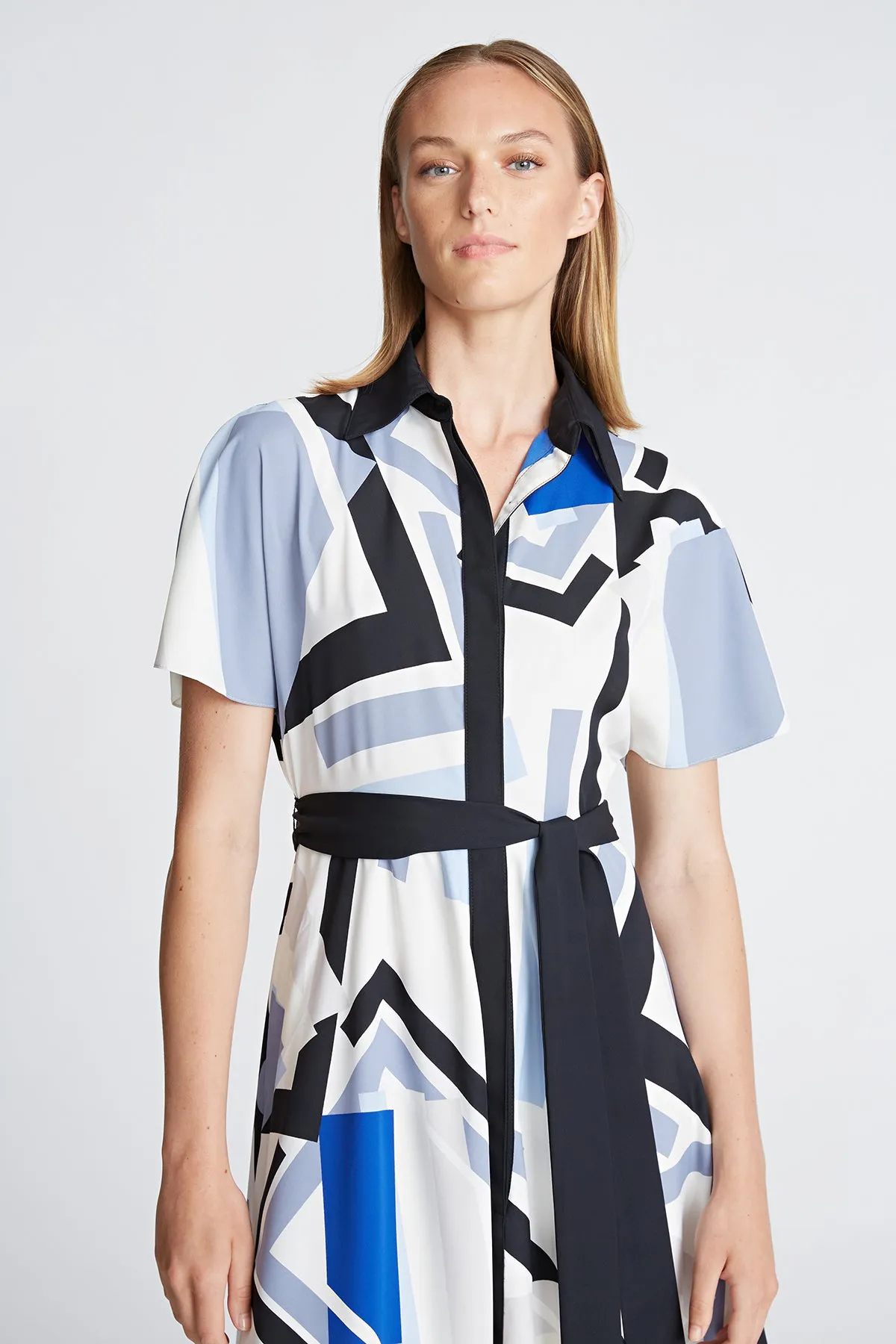 Hadley Dress In Crepe De Chine sold by H by Halston product image thumbnail 4