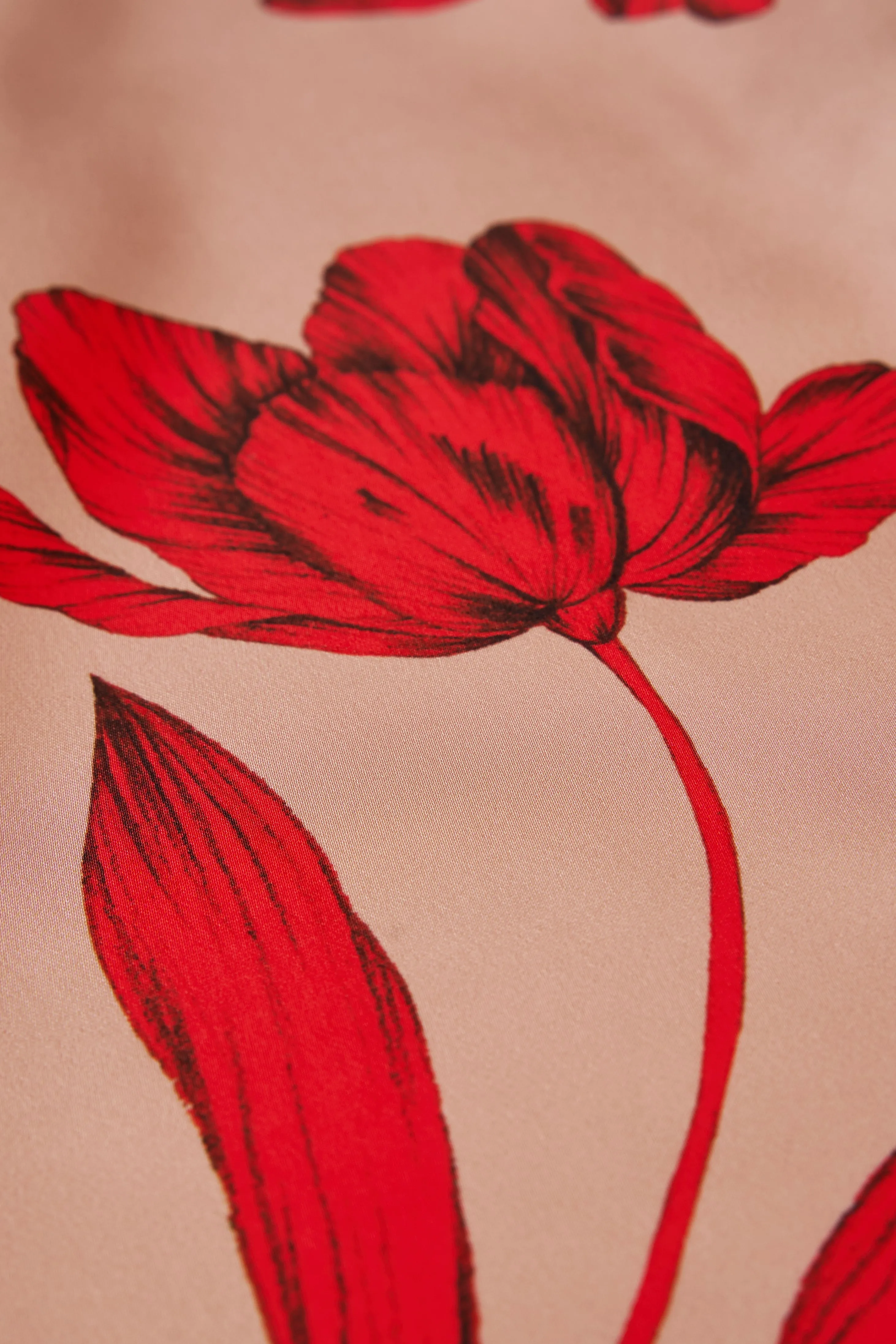 Manuela Strapless Printed Gown sold by H by Halston product image thumbnail 5