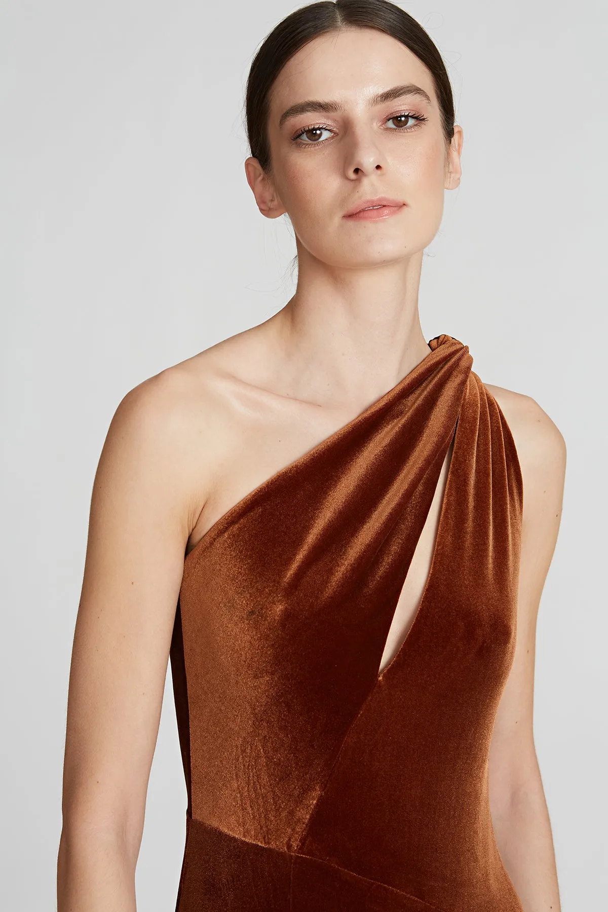 Easton Velvet Gown sold by H by Halston product image thumbnail 3