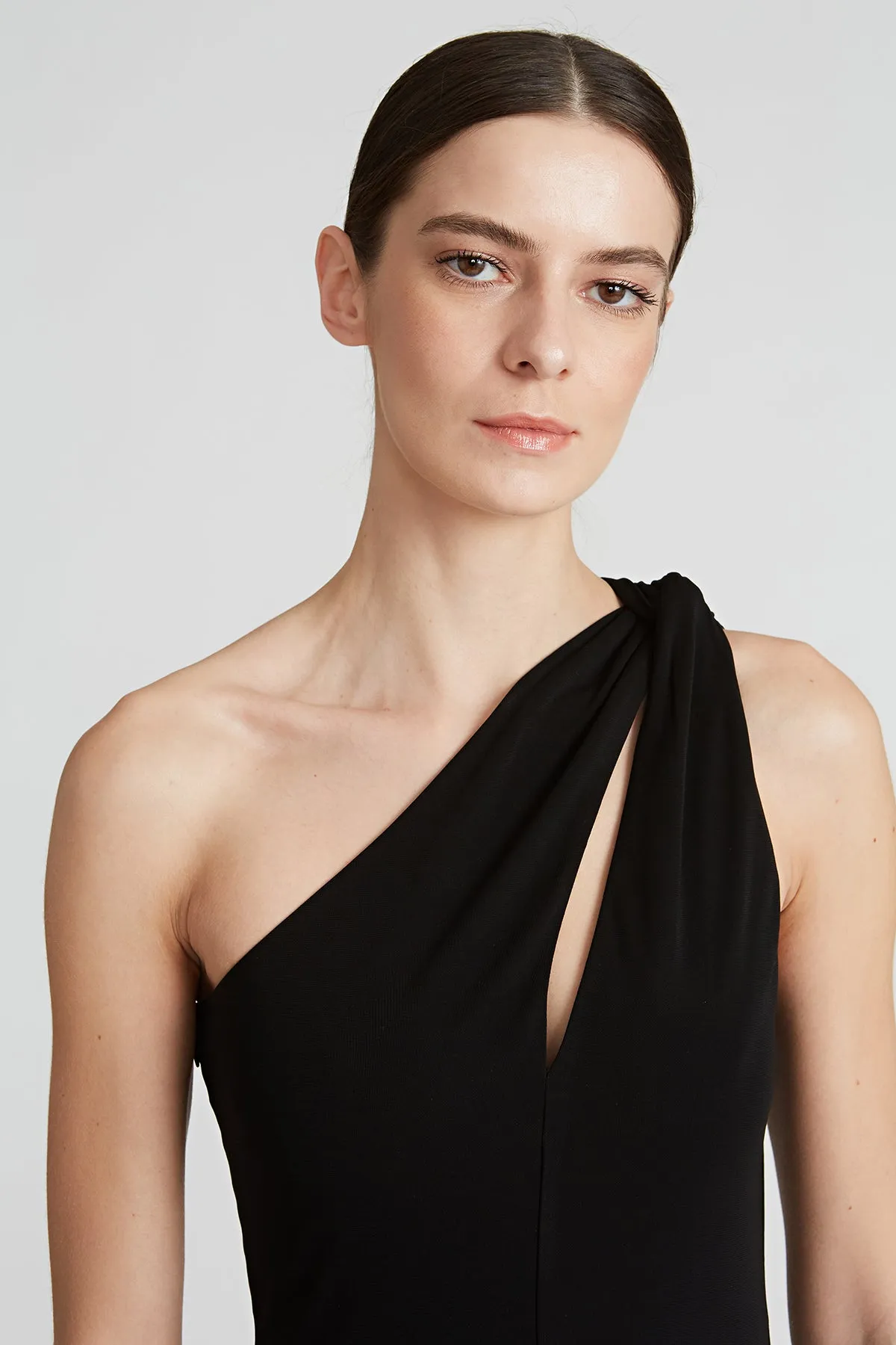 Dion Cocktail Dress sold by H by Halston product image thumbnail 4