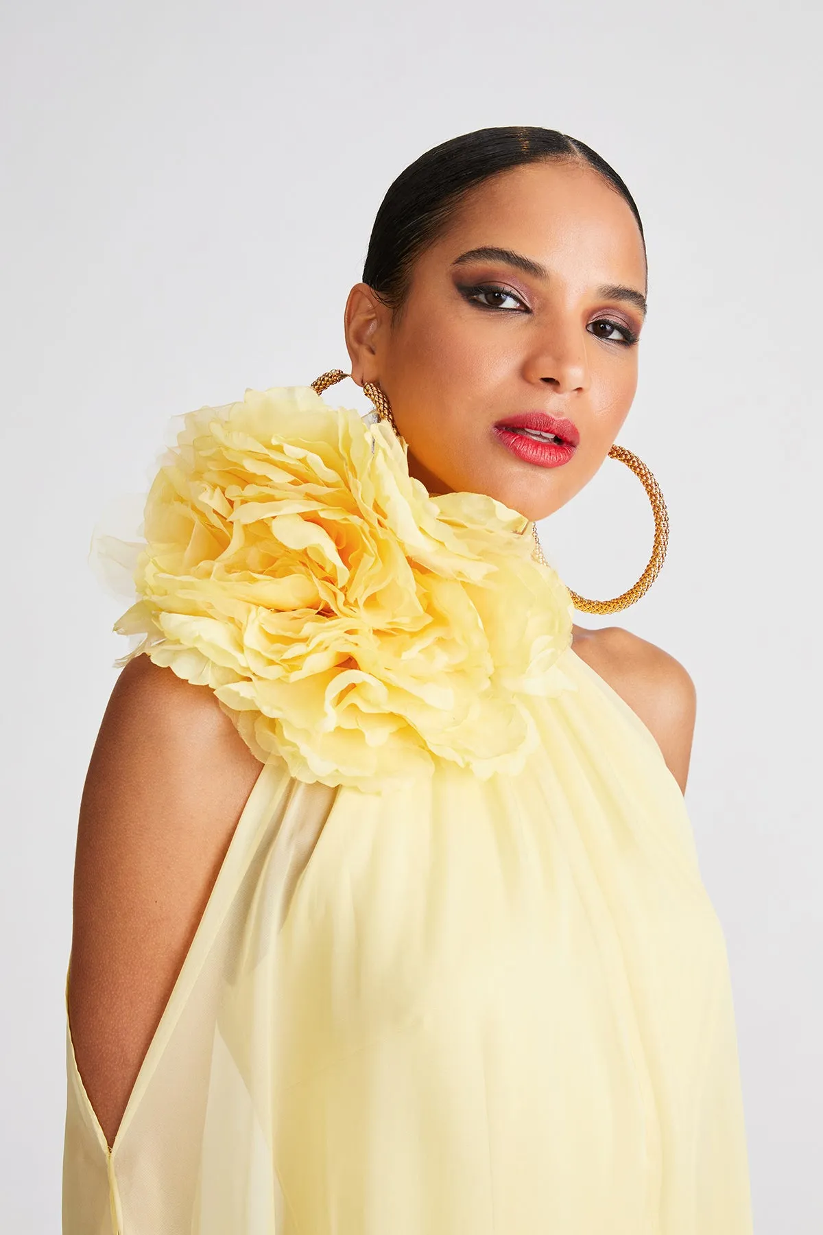 Ginnie Gown In Crepe & Chiffon sold by H by Halston product image thumbnail 5