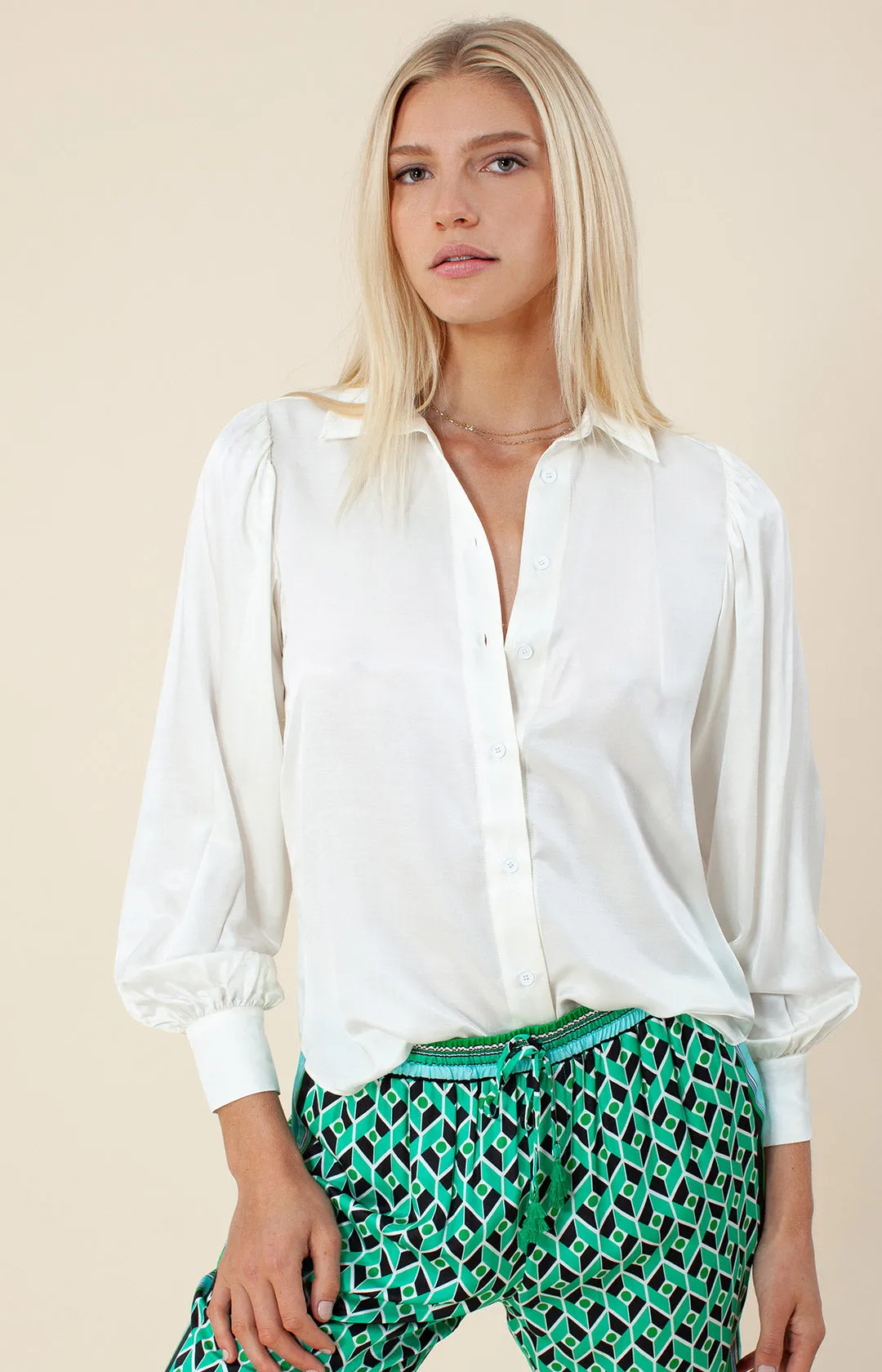 Garine Silk Pants sold by Hale Bob product image thumbnail 3