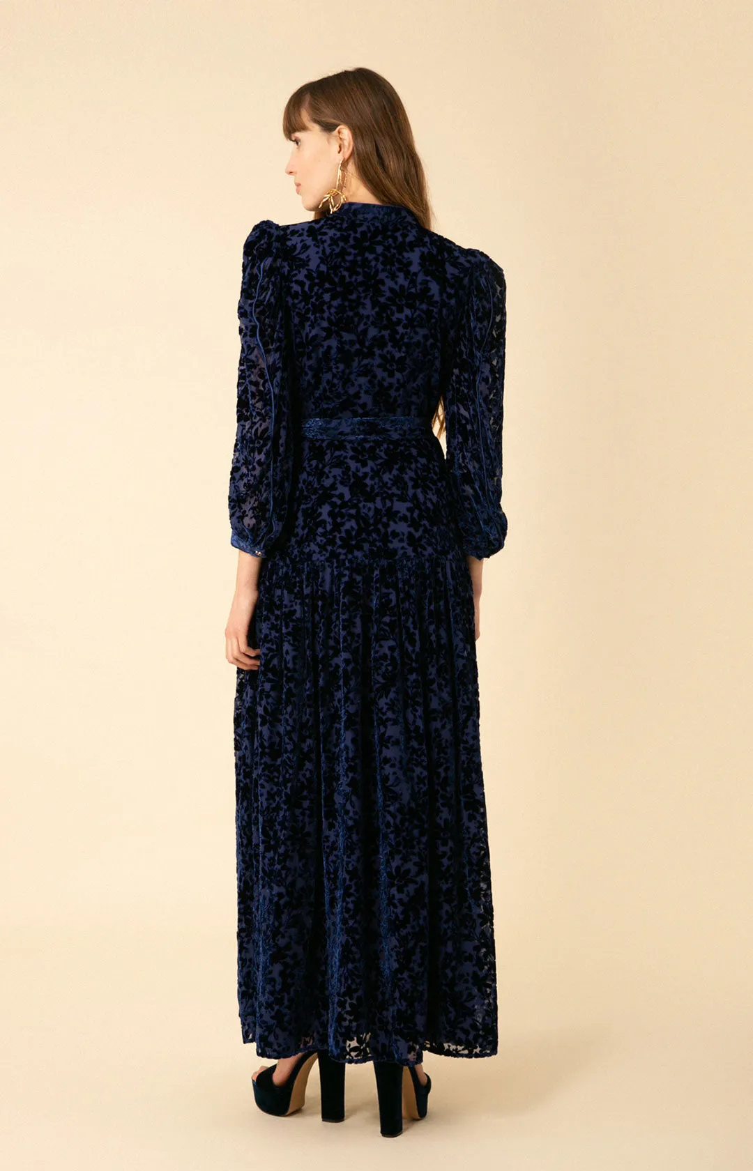 Heloise Solid Velvet Burnout Maxi Dress sold by Hale Bob product image thumbnail 2
