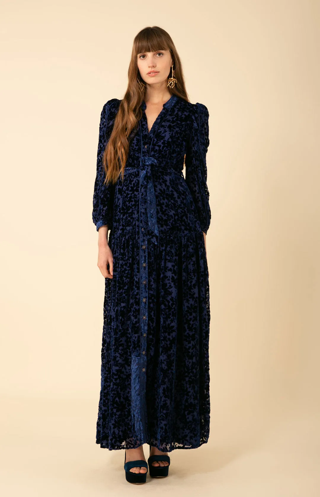 Heloise Solid Velvet Burnout Maxi Dress sold by Hale Bob product image thumbnail 4