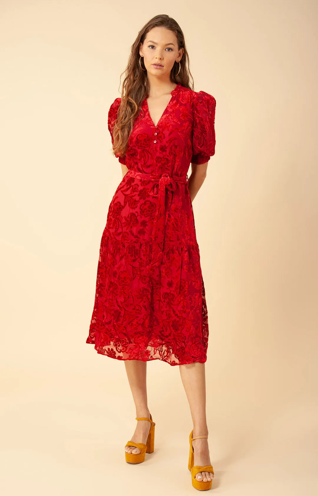 Kimbra Solid Velvet Burnout Dress sold by Hale Bob product image thumbnail 5