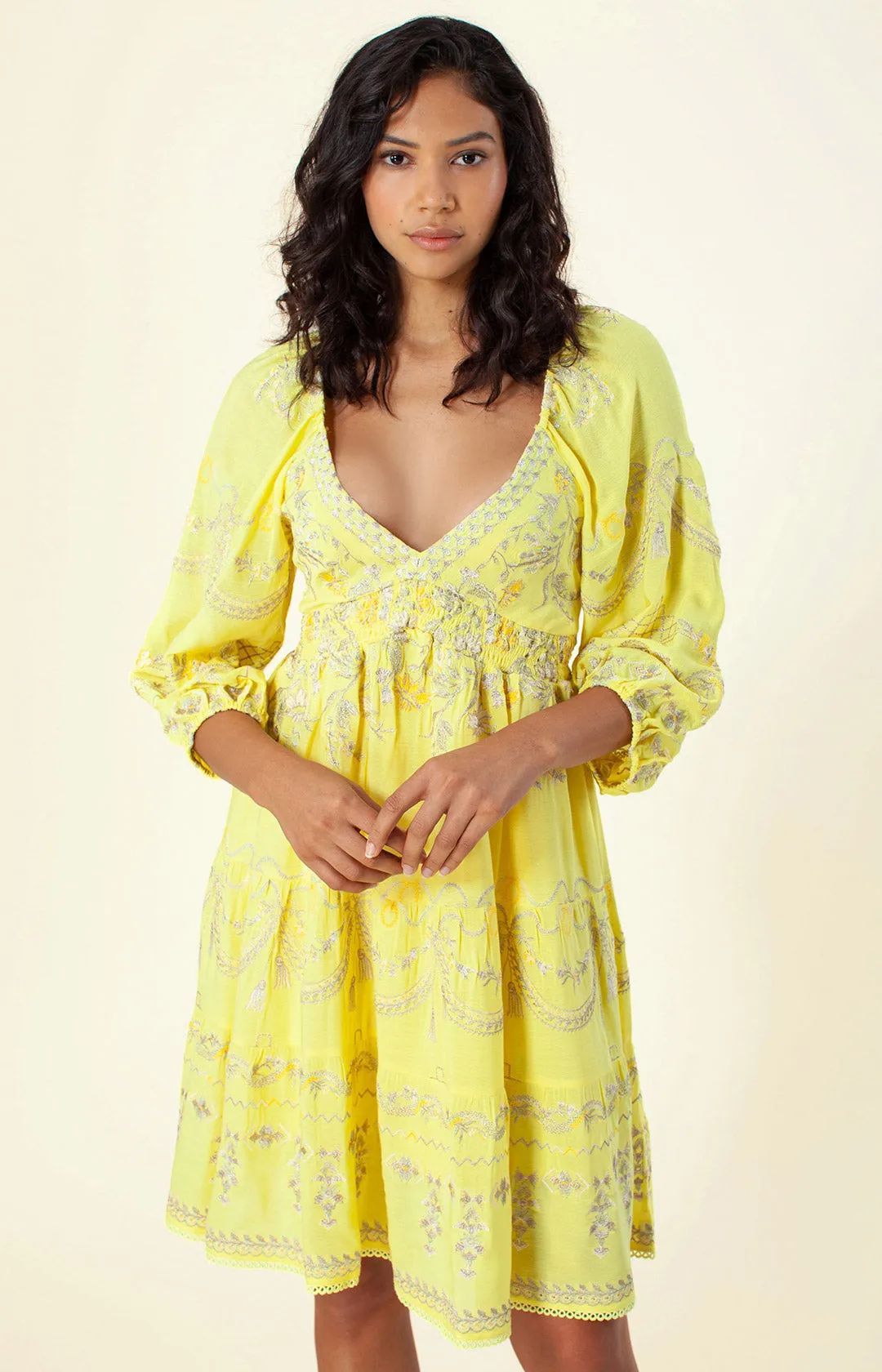 Dionne Embroidered Dress sold by Hale Bob product image thumbnail 4