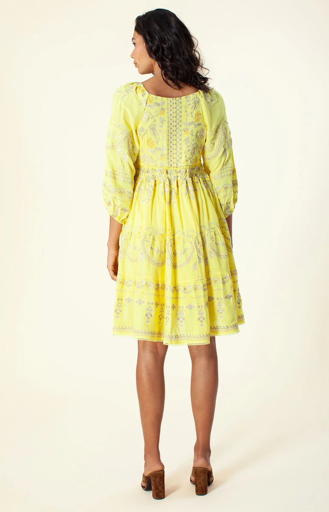Dionne Embroidered Dress sold by Hale Bob product image thumbnail 5