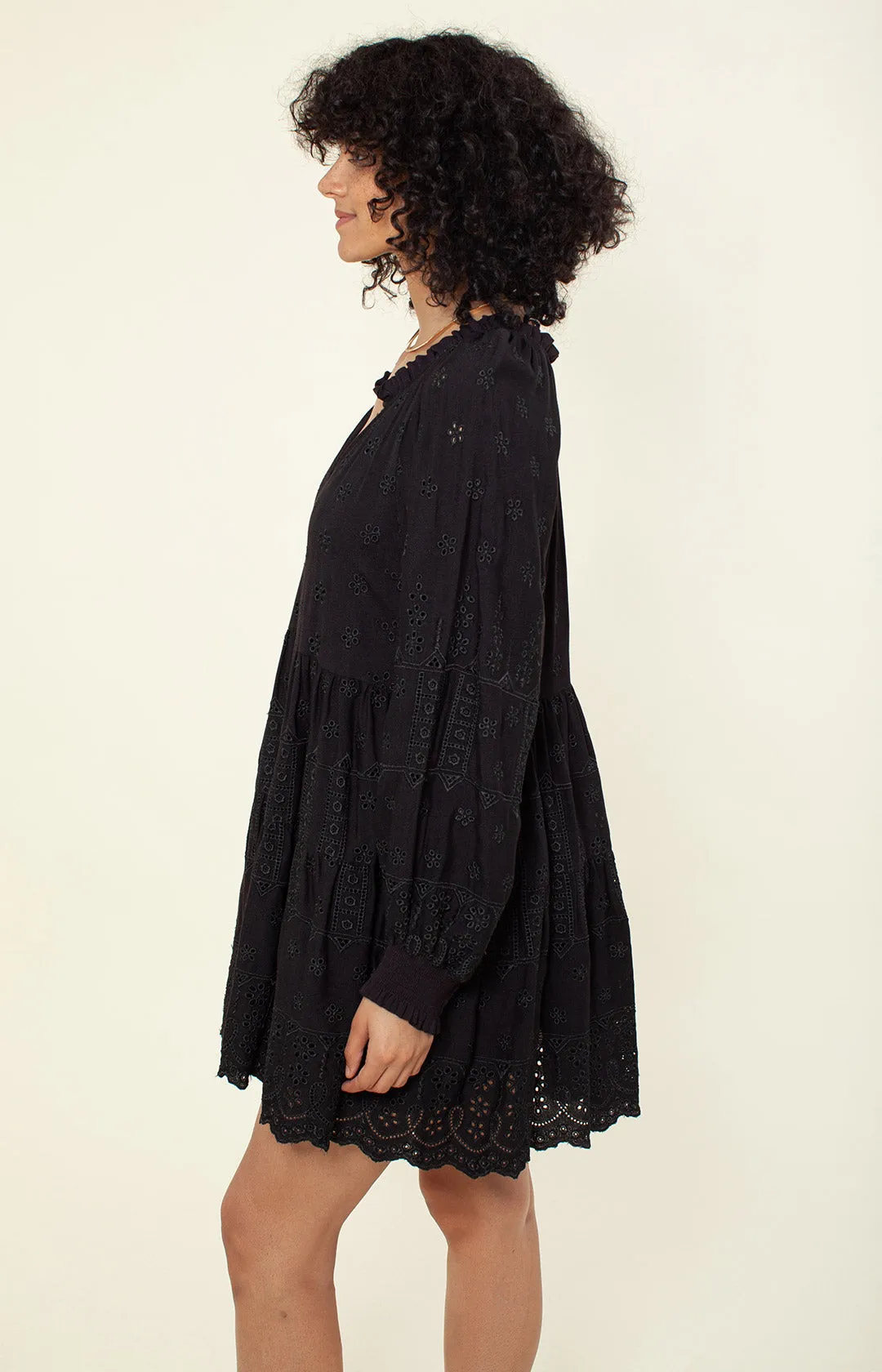 Darrin Solid Embroidered Dress sold by Hale Bob product image thumbnail 3