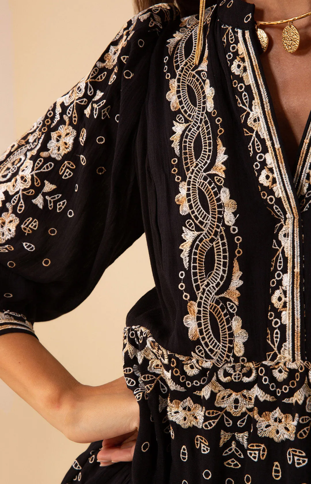 Emery Embroidered Dress sold by Hale Bob product image thumbnail 5