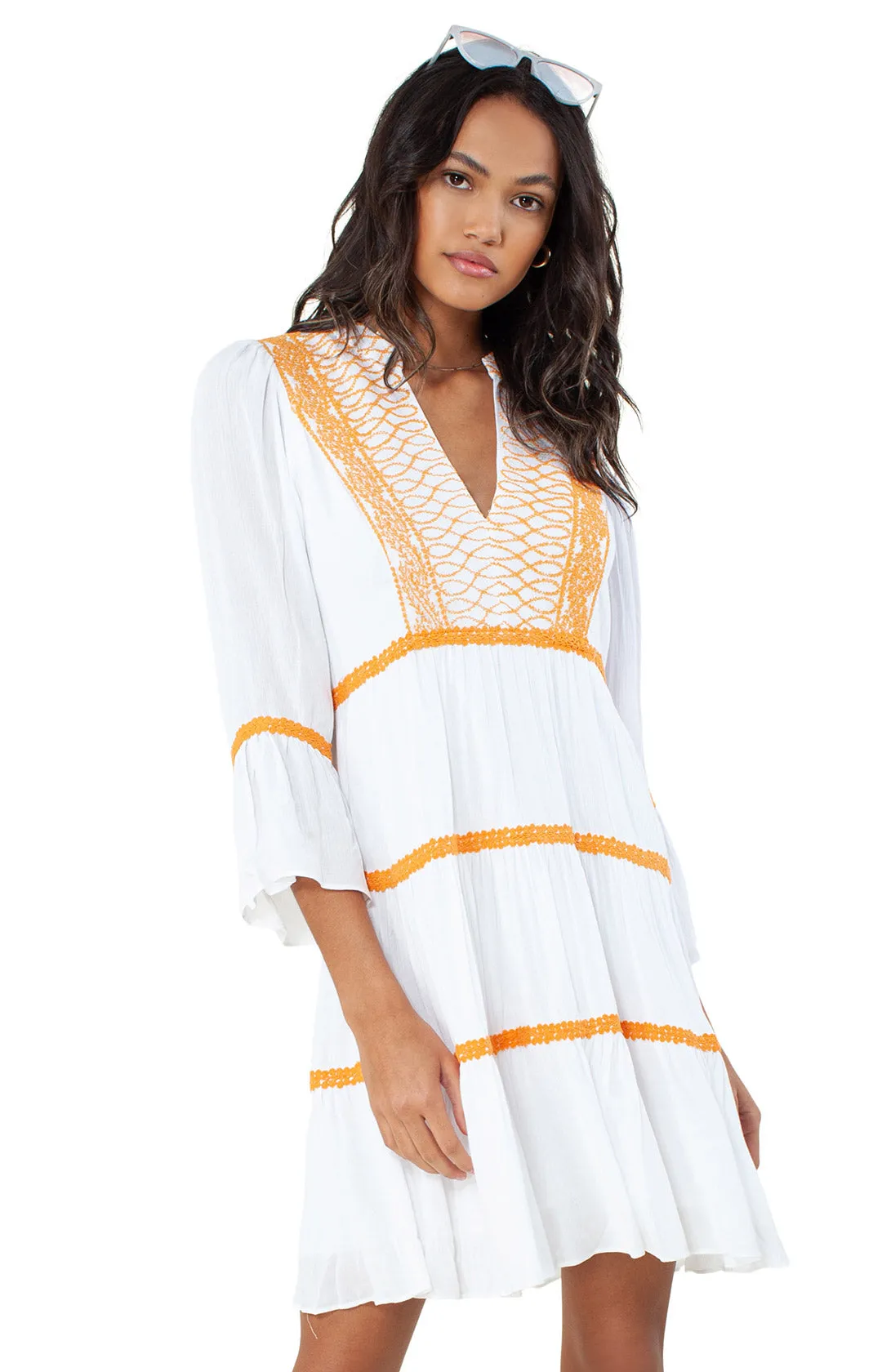 Celeste Embroidered Dress sold by Hale Bob product image thumbnail 5