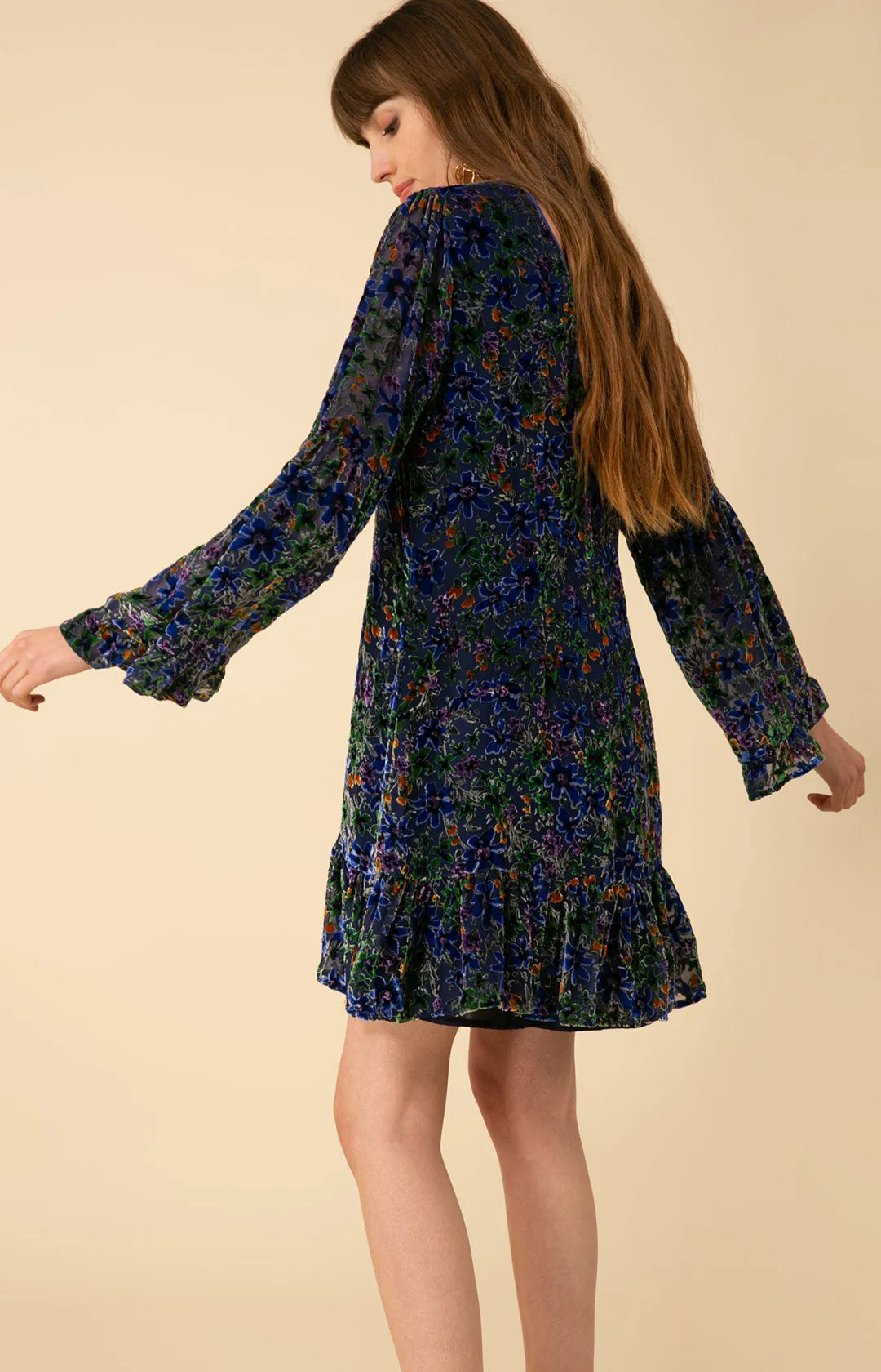 Salome Velvet Burnout Dress sold by Hale Bob product image thumbnail 4