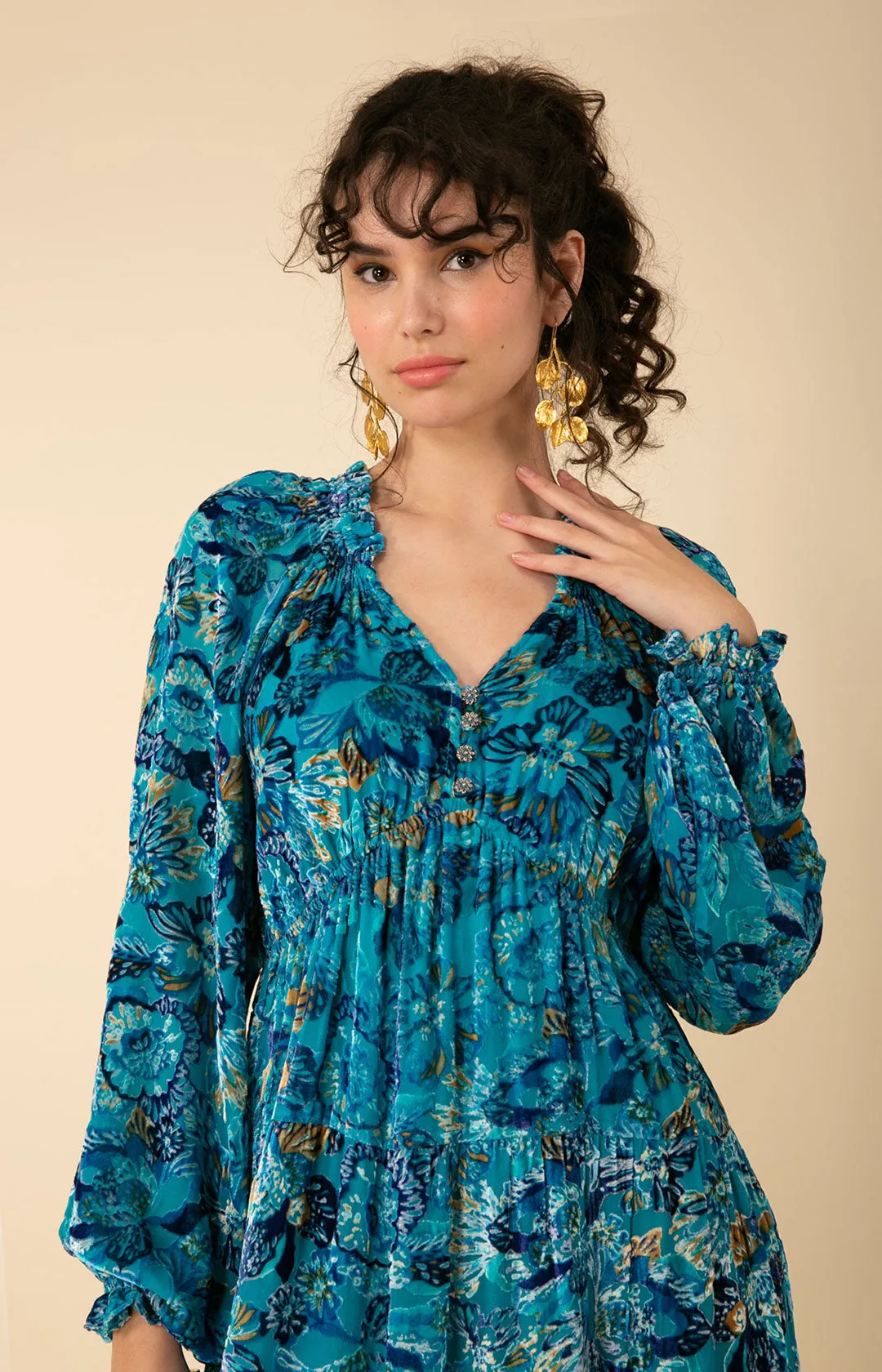 Lina Velvet Burnout Maxi Dress sold by Hale Bob product image thumbnail 4