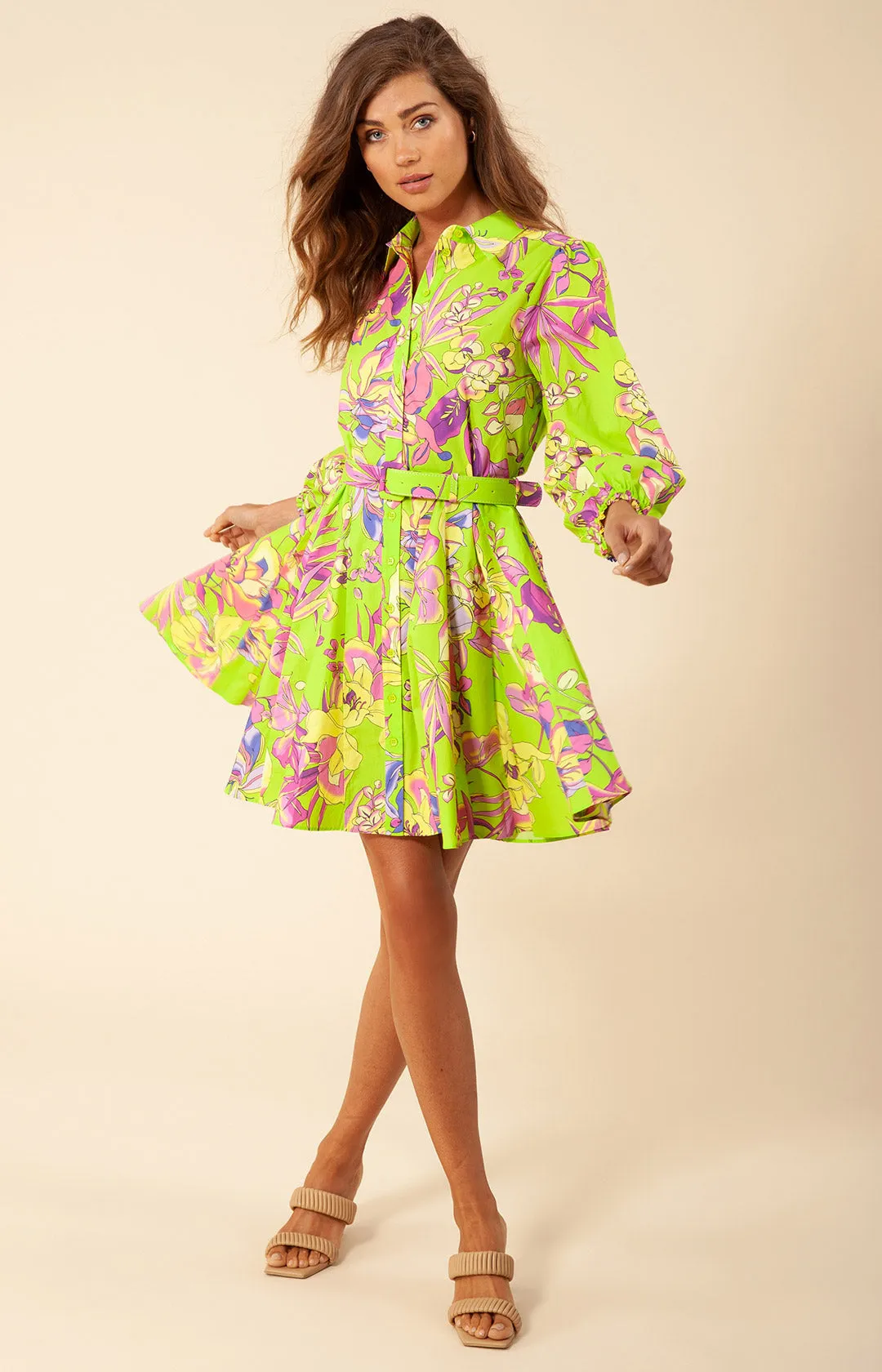 Vania Poplin Dress sold by Hale Bob product image thumbnail 4