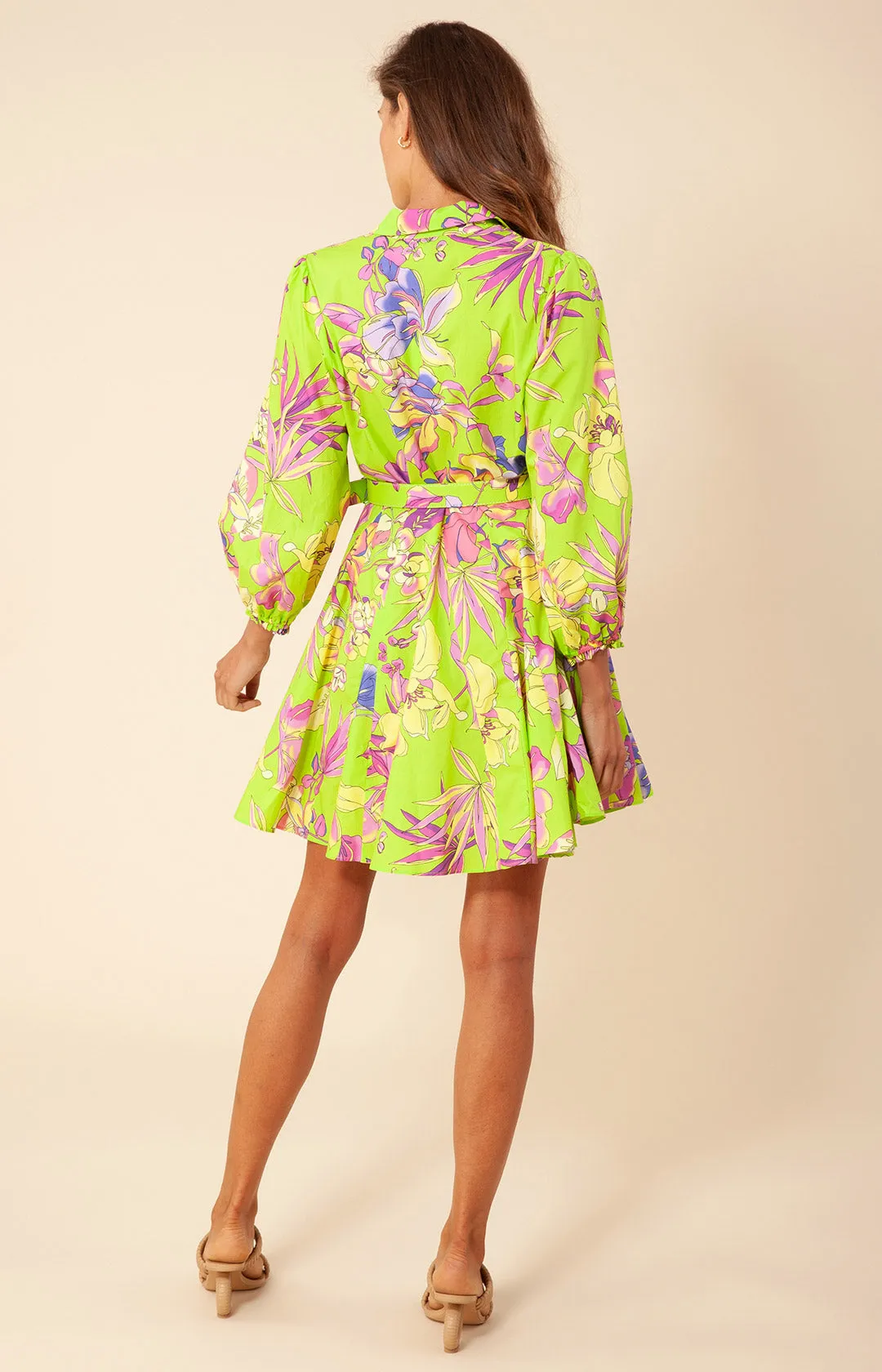 Vania Poplin Dress sold by Hale Bob product image thumbnail 5